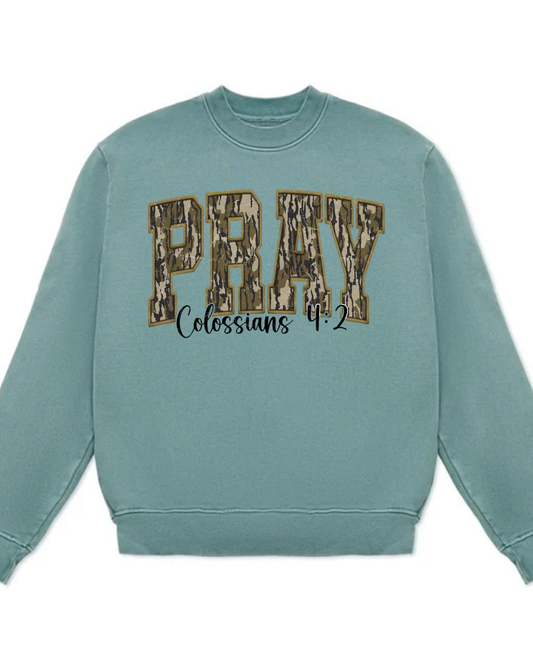 Pray Bottomland Varsity Font Heavy weight cotton crewneck